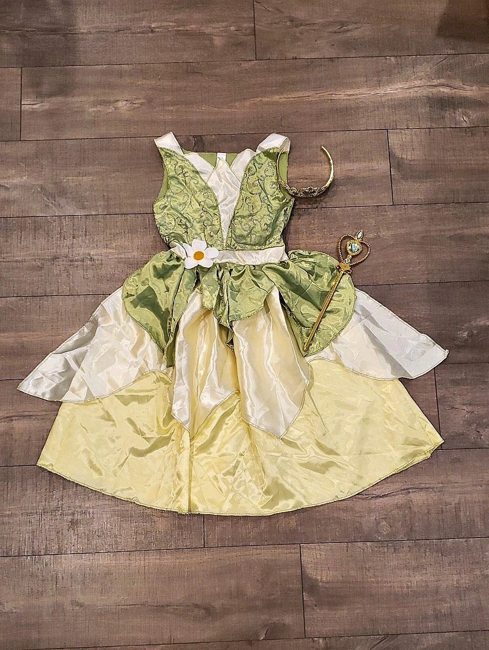Tiana Disney Princess Costume Dress